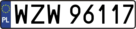 WZW96117