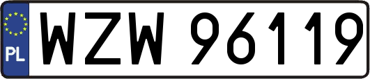 WZW96119