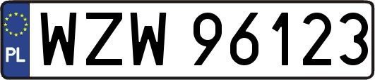 WZW96123