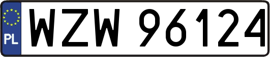 WZW96124