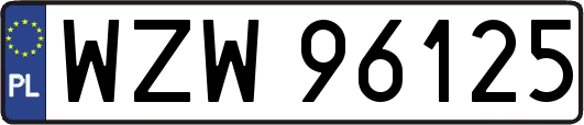 WZW96125