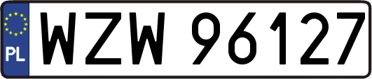 WZW96127