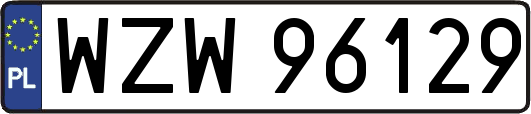 WZW96129
