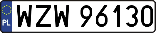 WZW96130
