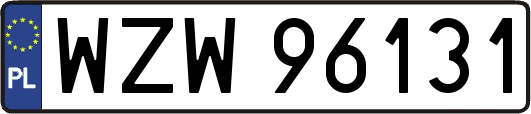 WZW96131