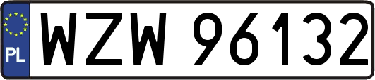 WZW96132