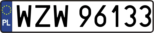 WZW96133