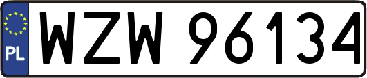 WZW96134