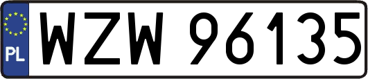 WZW96135