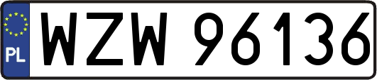 WZW96136