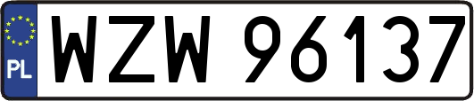 WZW96137