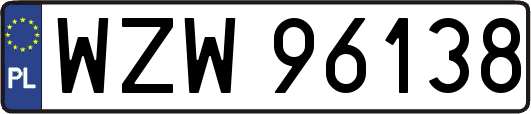 WZW96138