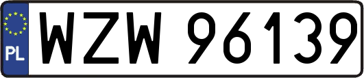 WZW96139