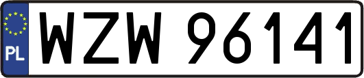 WZW96141