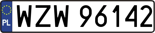 WZW96142