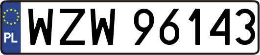 WZW96143