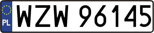 WZW96145