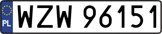 WZW96151