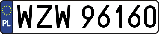 WZW96160