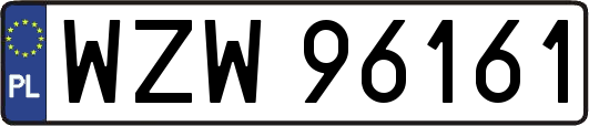 WZW96161