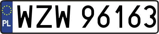 WZW96163