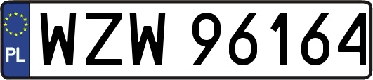 WZW96164