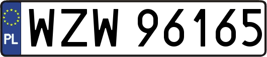 WZW96165