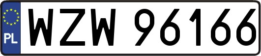 WZW96166