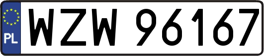 WZW96167