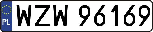 WZW96169