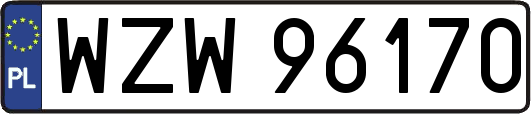 WZW96170