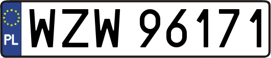 WZW96171
