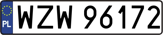 WZW96172