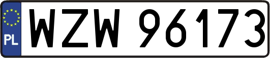 WZW96173