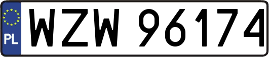 WZW96174