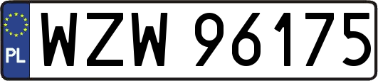 WZW96175