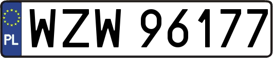 WZW96177