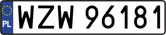 WZW96181