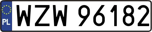 WZW96182
