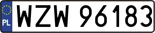 WZW96183