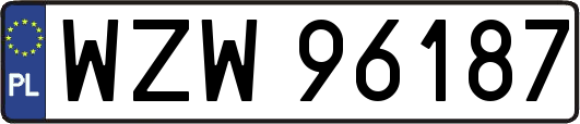 WZW96187