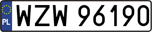 WZW96190