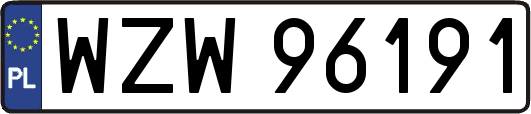WZW96191