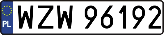 WZW96192