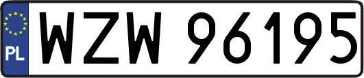 WZW96195