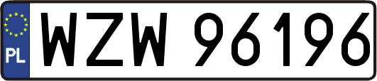 WZW96196