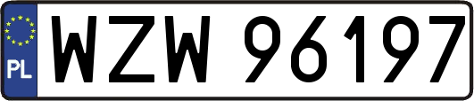 WZW96197