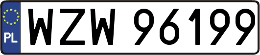 WZW96199