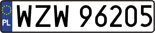 WZW96205