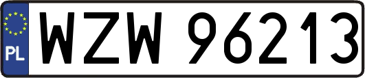 WZW96213